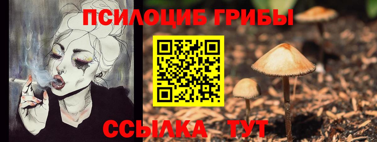 наркошоп  Вход с VPN  Медногорск  Псилоцибиновые грибы ЛСД  Псилоцибиновые грибы Magic Shrooms 